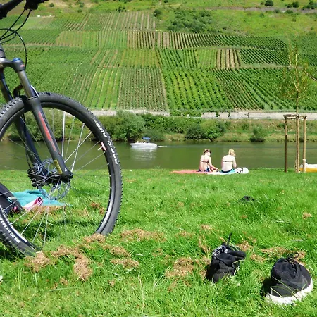 Apartment Wohnen Im Weingut *
