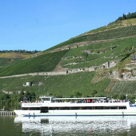 Wohnen Im Weingut Apartment