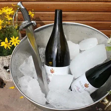 Wohnen Im Weingut Apartment *