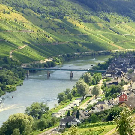 Wohnen Im Weingut Apartment Reil